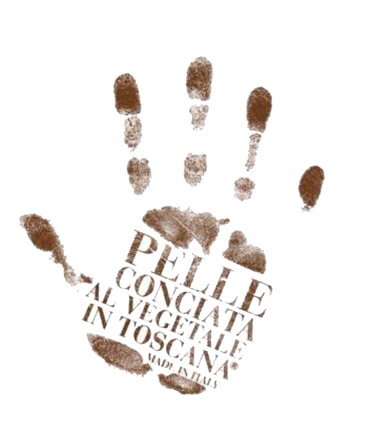 Certificate ICEC “CERT-018-2022-VPVEG-STEP1”